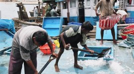 Detecting forced labour in commercial fishing