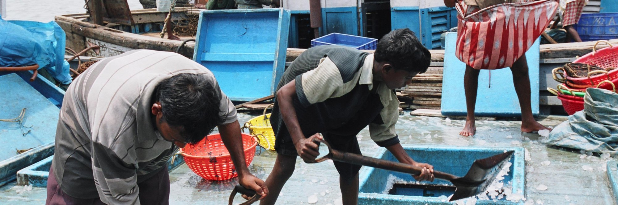 Detecting forced labour in commercial fishing