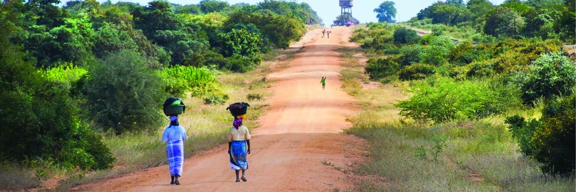 Desenvolvimento rural e trabalho digno