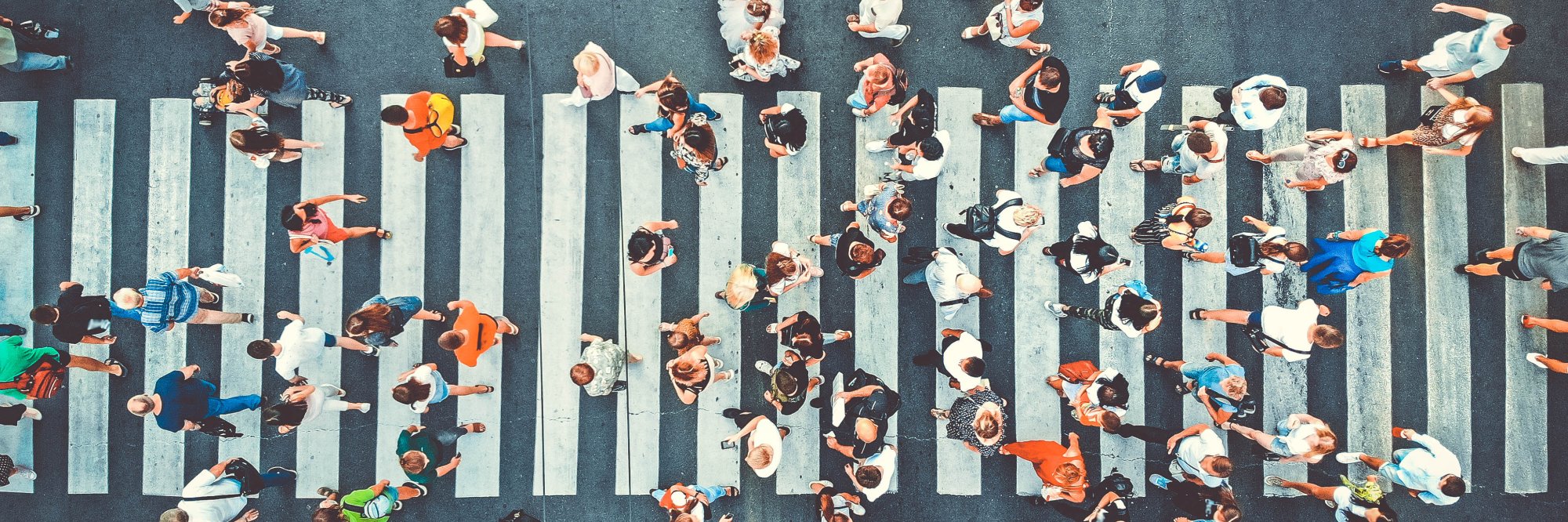 Employment in ageing societies