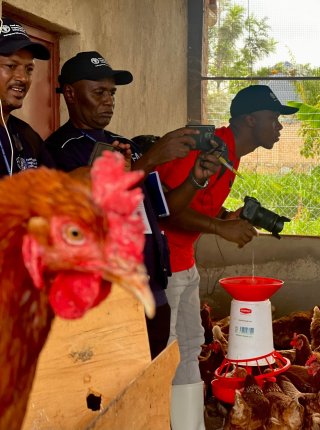 communication officers from FAO in the chicken coup in Rwanda